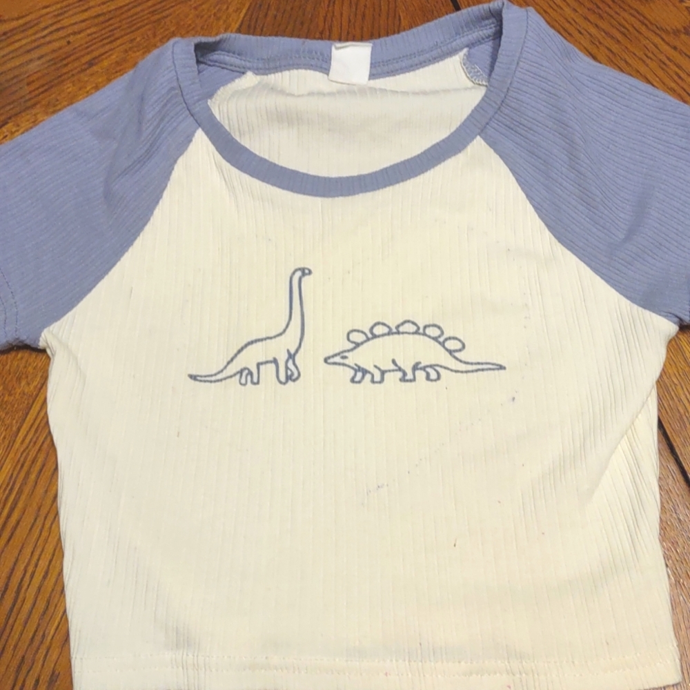A dinosaur crop top